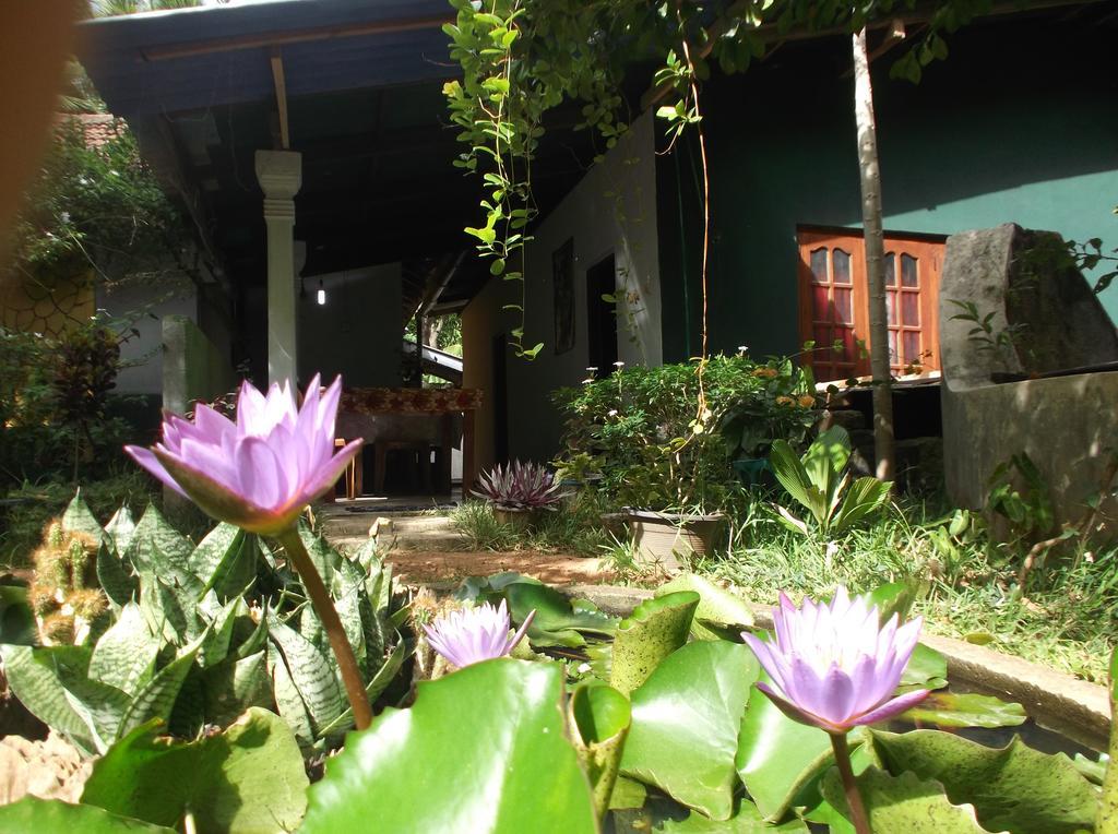 Sanjana Home Stay Habarana Eksteriør billede